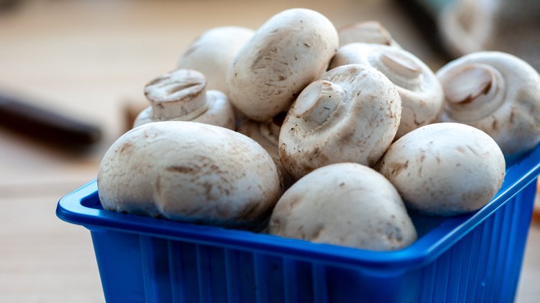 Mushrooms in plastic container