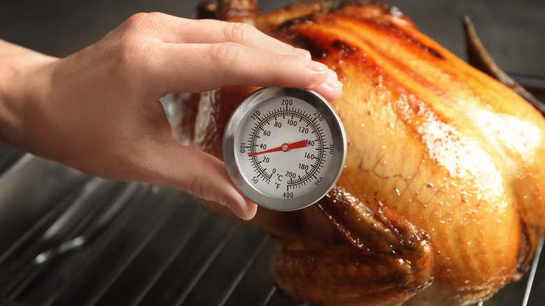 Meat thermometer testing roast turkey