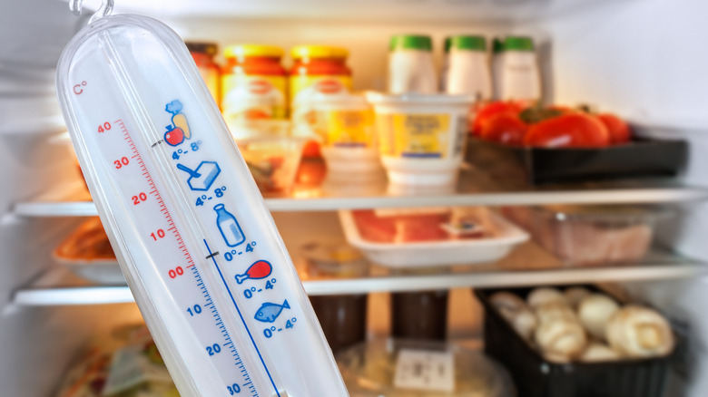 Thermometer in front of fridge 