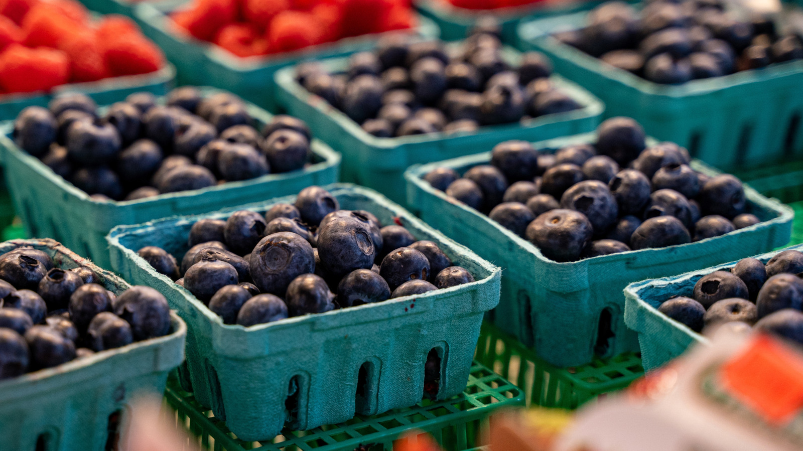 FoodWireDaily — The Blueberry Myth You Need To Stop Believing At The Grocery Store