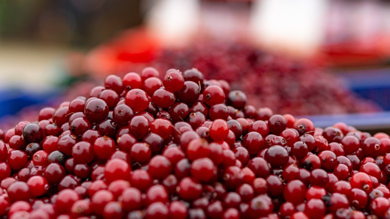 Cranberries for sale at market
