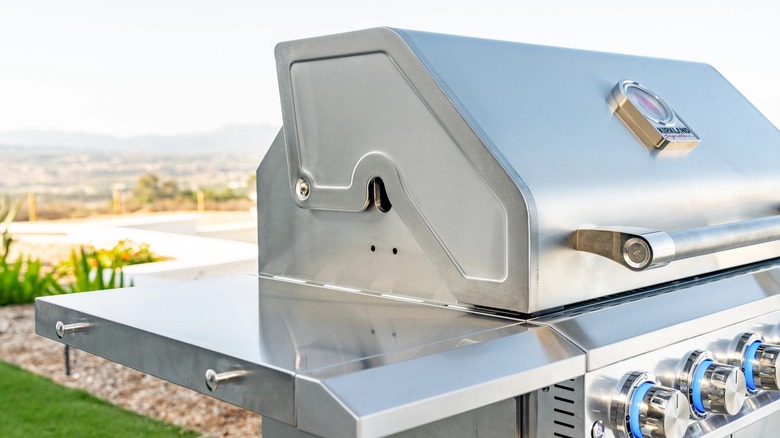 Kirkland Signature 6 burner gas grill