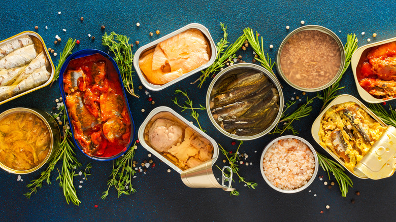 Several cans of various fish on blue spread
