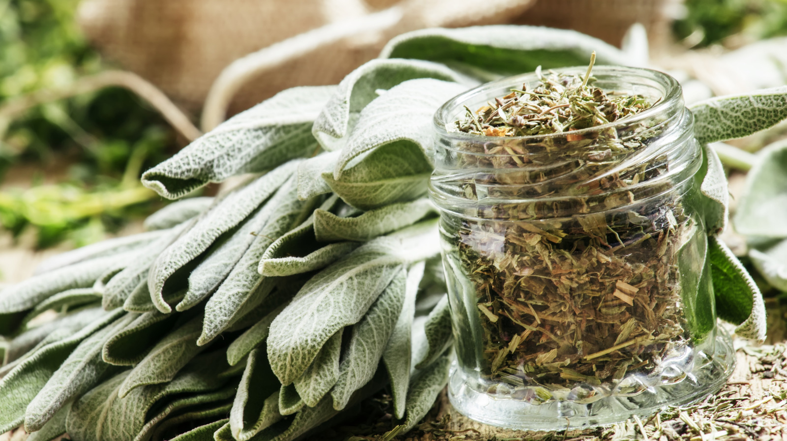 the-cheat-sheet-conversion-for-substituting-fresh-herbs-and-dry-herbs