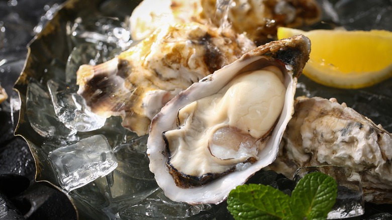 raw oyster on half shell