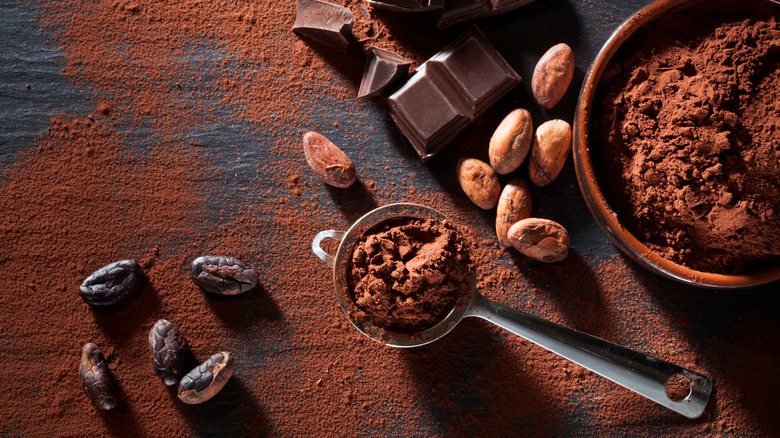 cocoa beans and powder