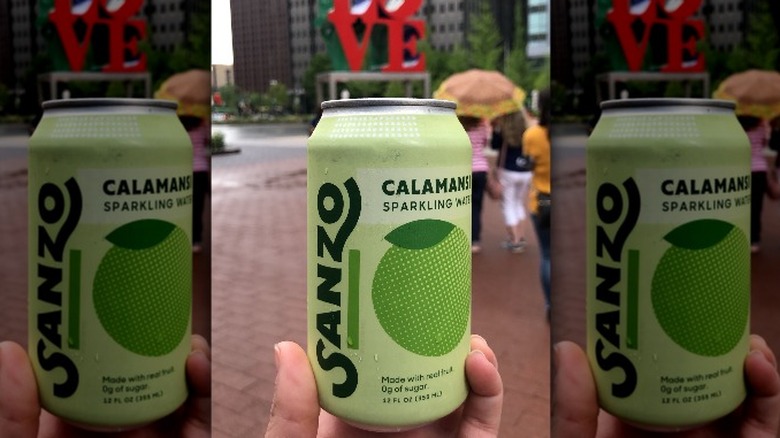 Person holding Sanzo can