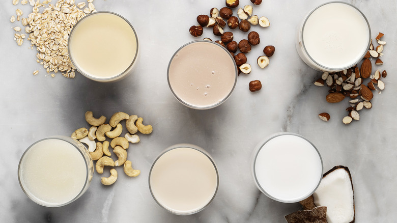 Overview of variety of milk alternatives