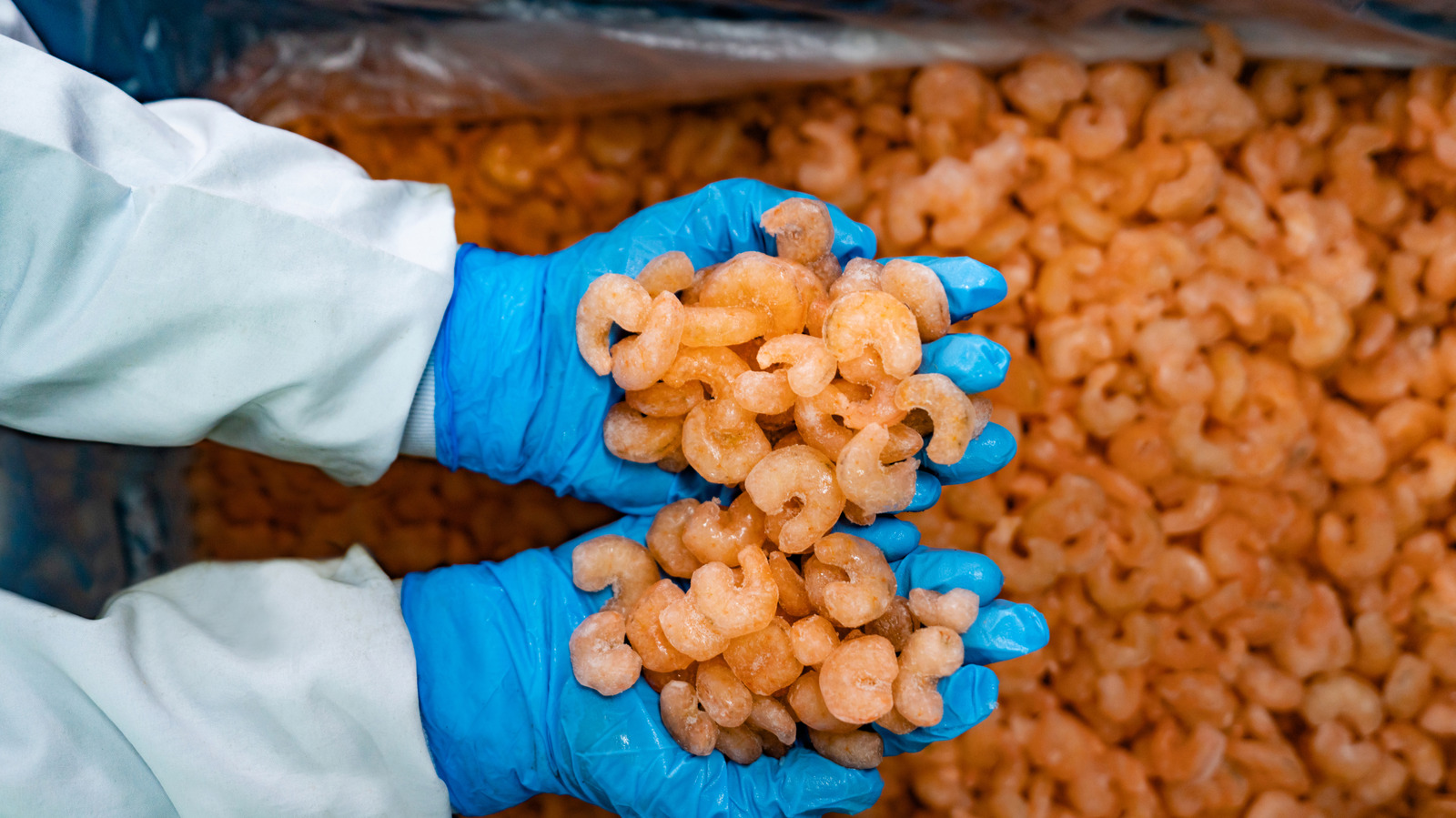 The Country That Produces The Most Shrimp In The World Isn't The US Or Mexico