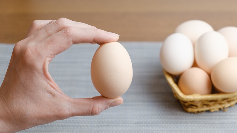hand holding egg with eggs in the background