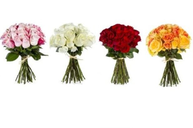 Presents for the Kitchen Counter 