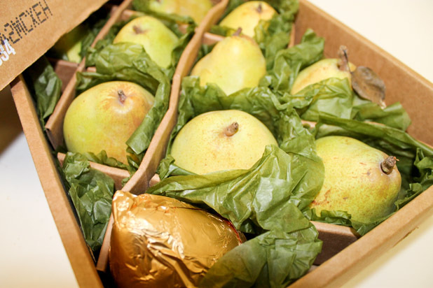 Family Affair Royal Riviera Pears 