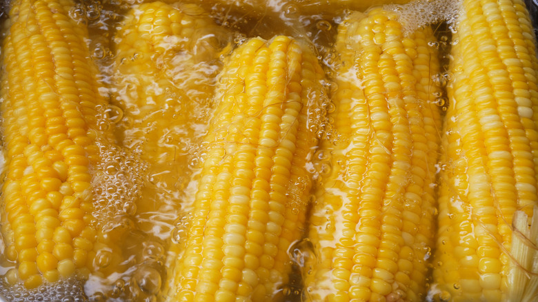 Corn boiling in pot
