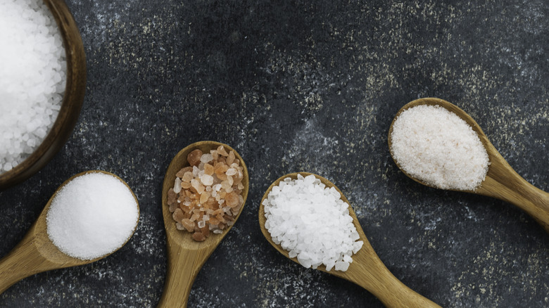 different salts on wooden spoons