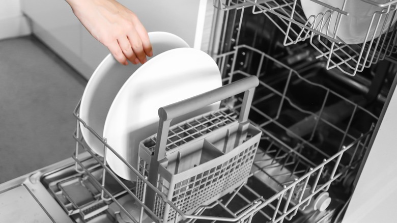 Person loading a dishwasher