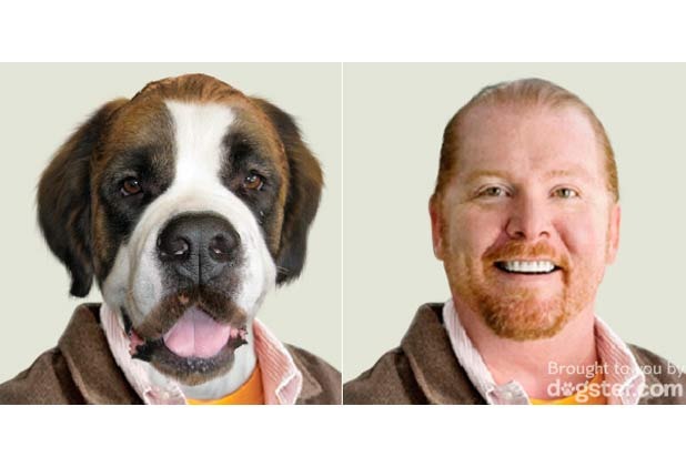 Mario Batali, Restaurateur and Host of ABC's The Chew: Saint Bernard