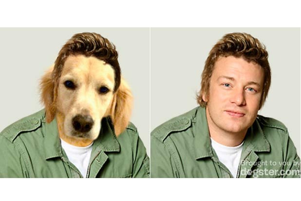For More Food Celebs Imagined as Your Favorite Dogs...
