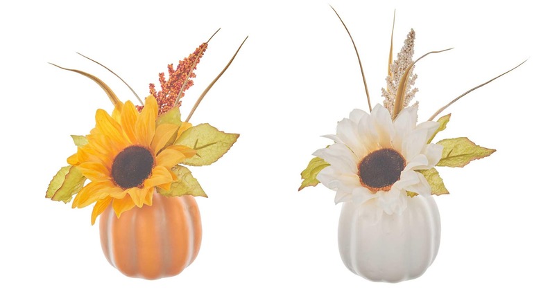 Side-by-side image comparison of the harvest pumpkin in orange (left) and white (right)