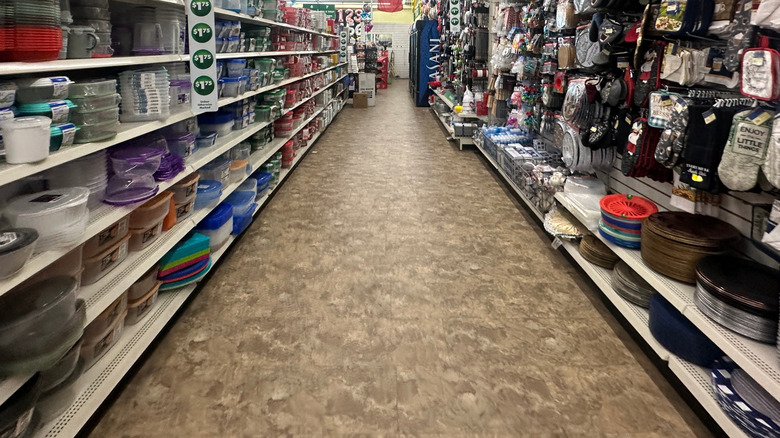 Exterior of a Dollar Tree store