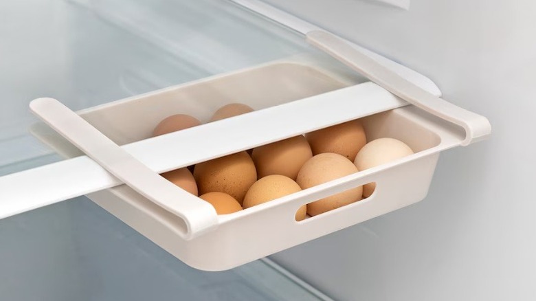 Dolla Tree egg holder clipped onto fridge shelf