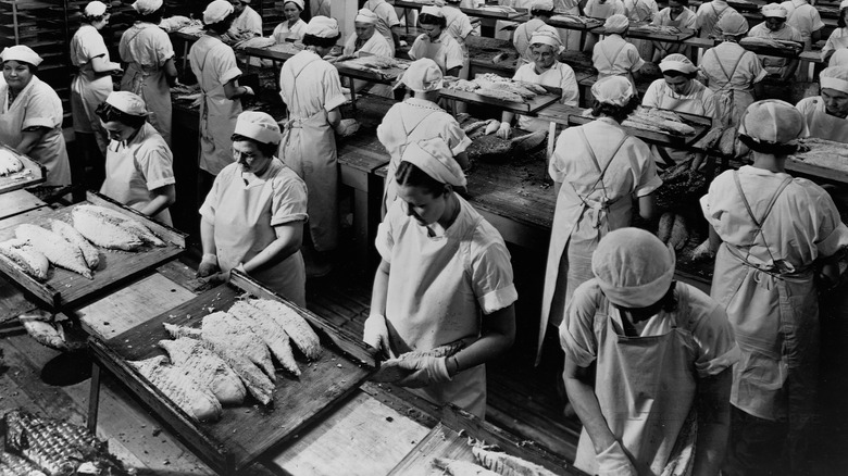 Workers packing tuna 
