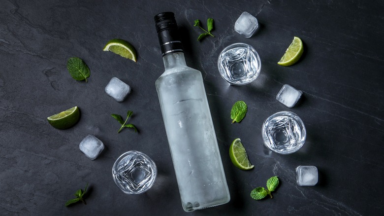 Vodka bottle with ice, limes, mint, shot glasses