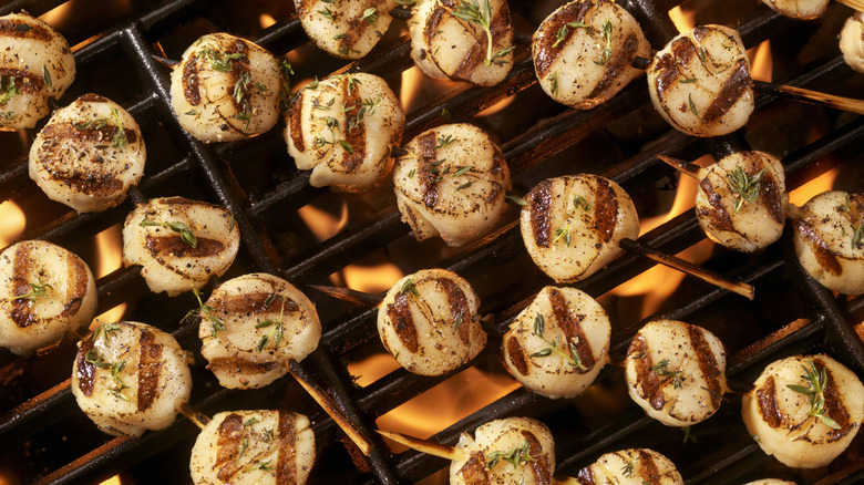 Scallops on skewers with herbs on grill