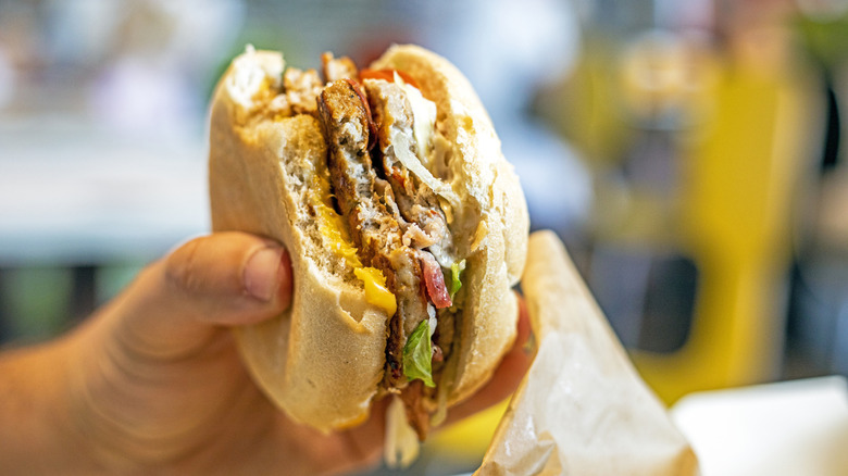 hand holding up a burger