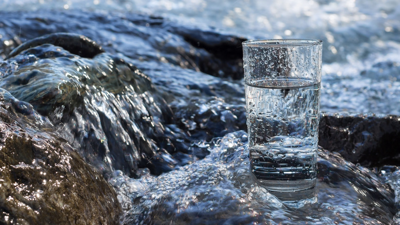 glass of mineral spring water on a water bank