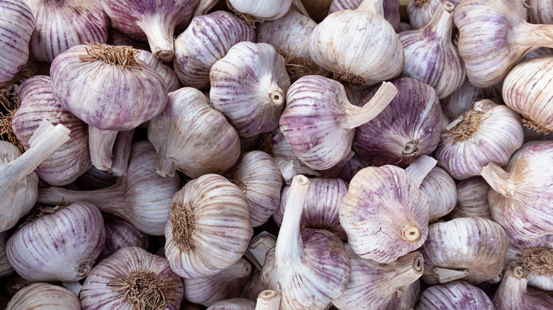 many bulbs of garlic