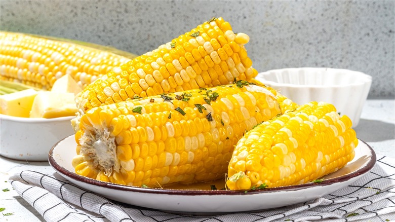multiple corn on the cob on a plate