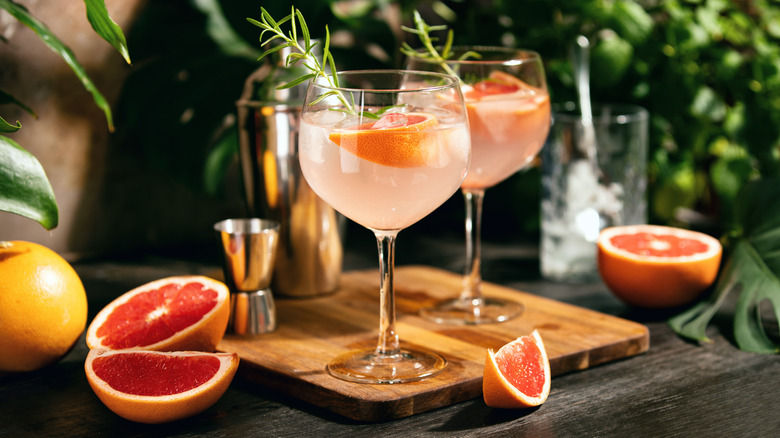 Two grapefruit cocktails with cocktail shaker and grapefruit segments