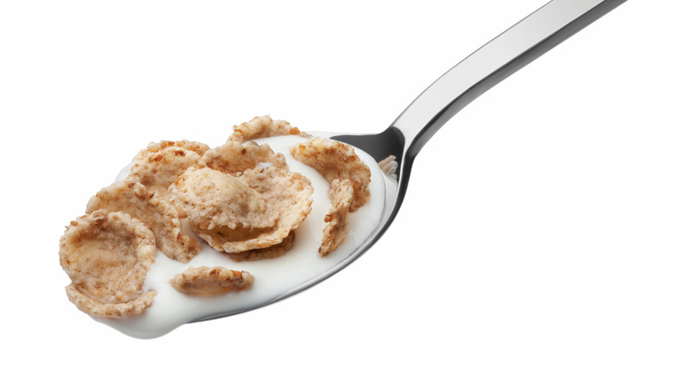 Spoon of cereal