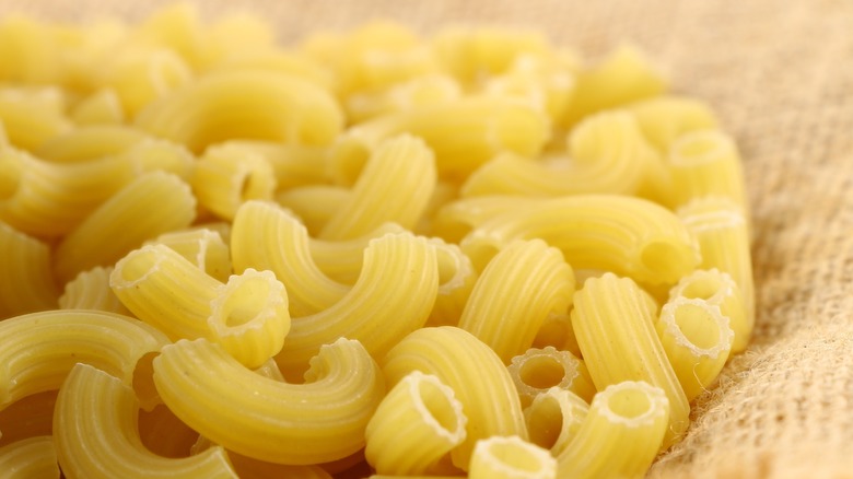 macaroni noodles