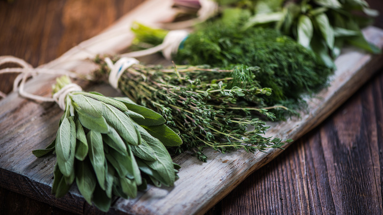 Various fresh herbs on wood board