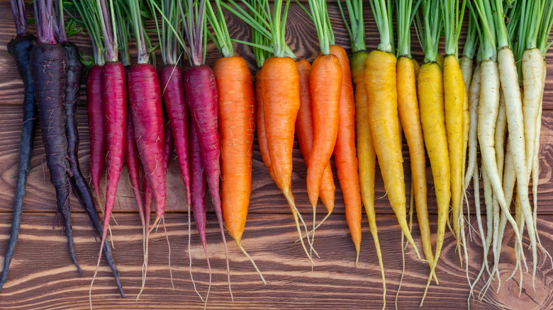 A row of raw carrots in several colors