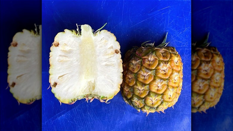 Meet the Sugarloaf pineapple 