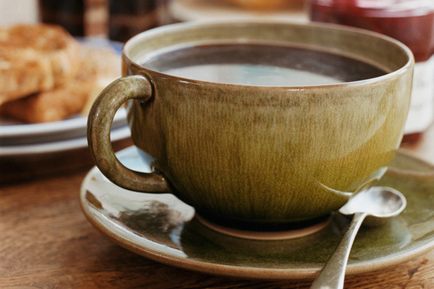 Reduces Gallstone Formation and Gallbladder Disease