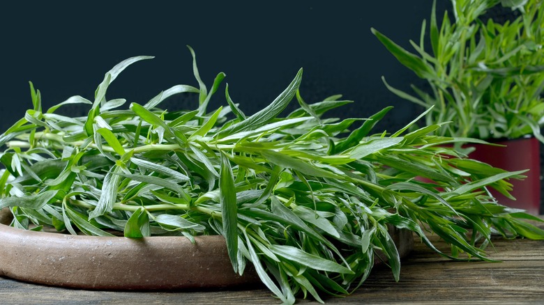 sprigs of fresh tarragon