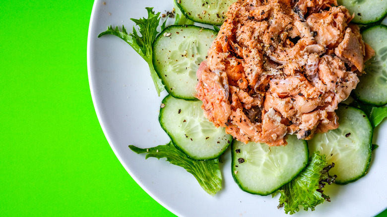Salmon salad on a bed of cucumber and lettuce with a green background