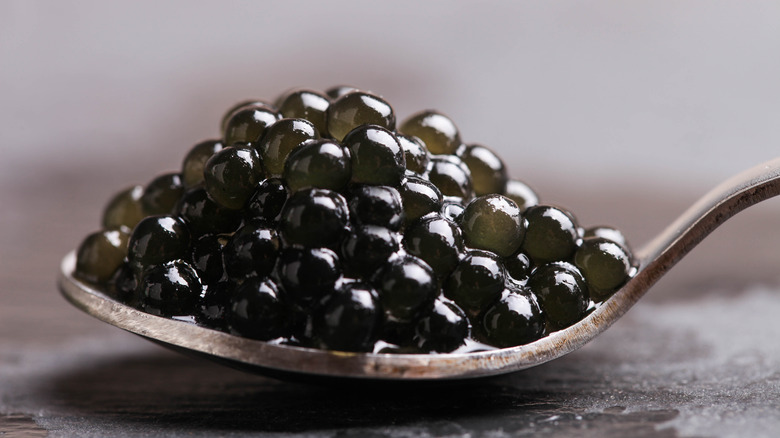 close up of sturgeon roe on a spoon