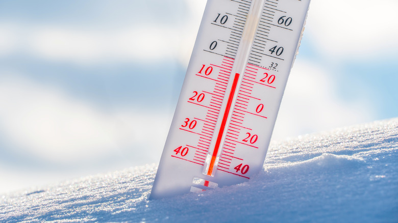 thermometer in the snow