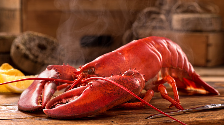 Freshly steamed lobster