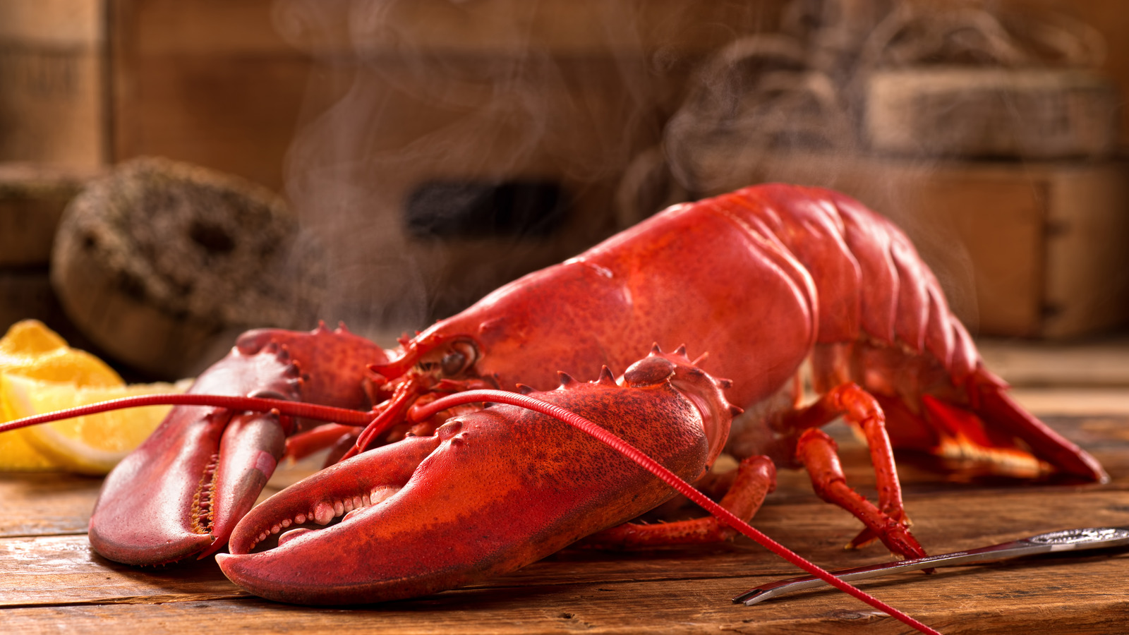 https://www.thedailymeal.com/img/gallery/the-important-timing-tip-to-remember-for-steaming-a-whole-lobster/l-intro-1702711802.jpg