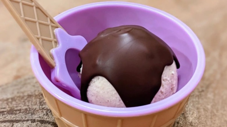 Bowl of ice cream with hard chocolate topping