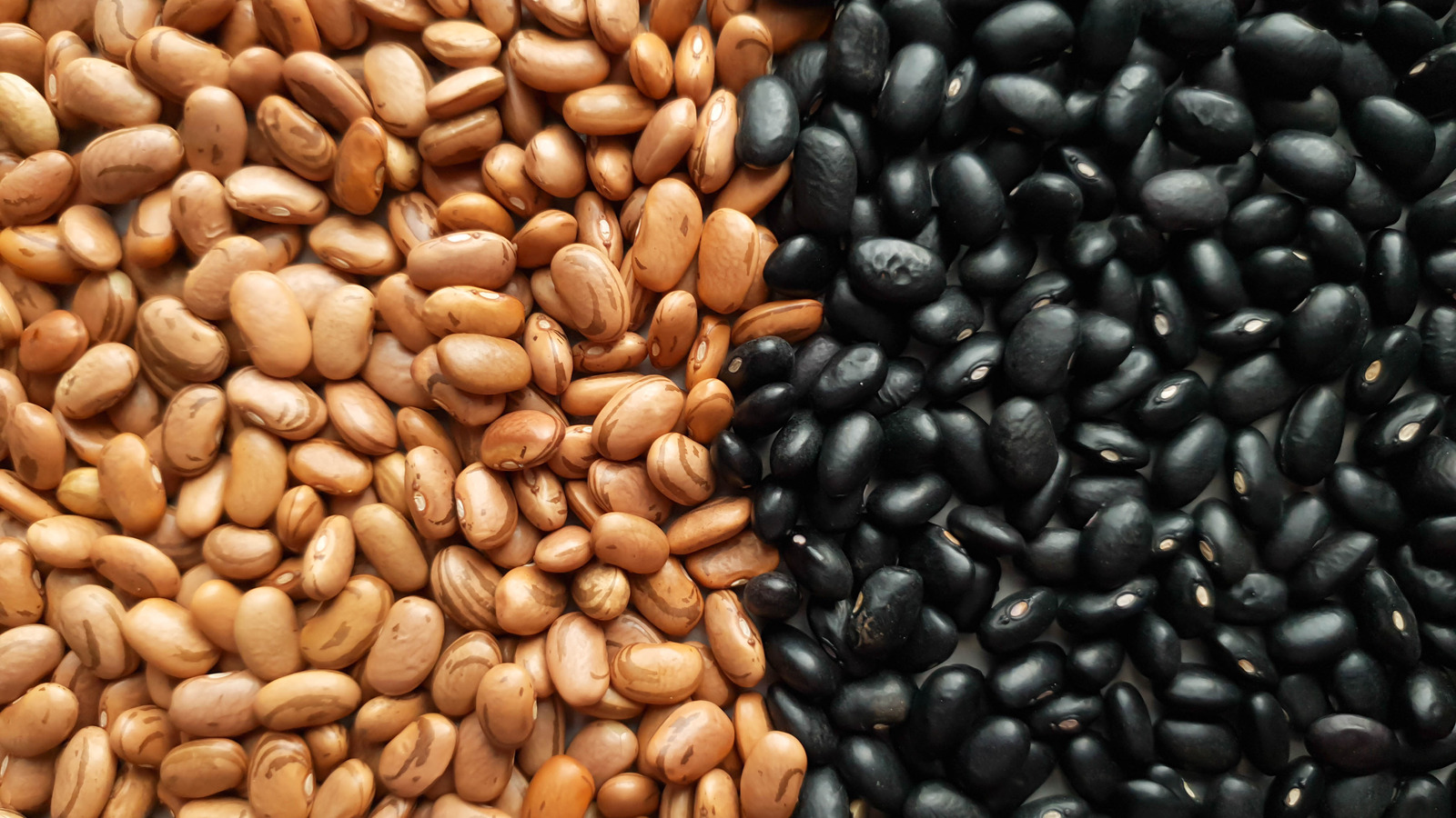 The Main Differences Between Pinto Vs Black Beans