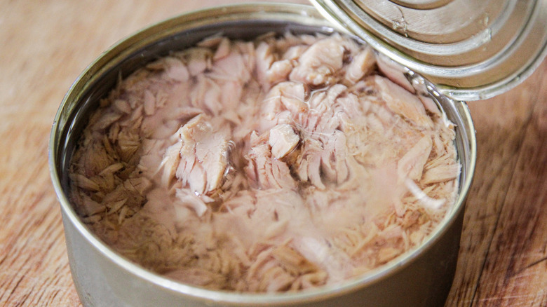 close up of an open can of tuna