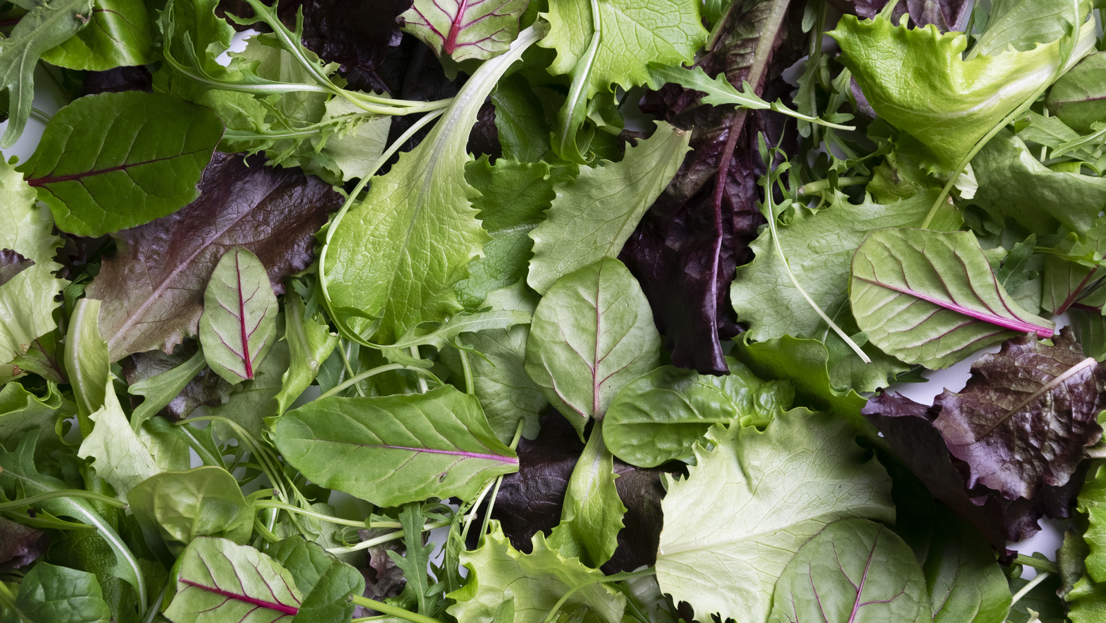 The Most Consistent Way To Keep Your Salad Greens Fresh Is Also The