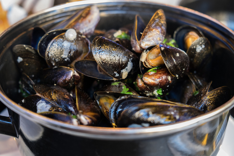  Mussels