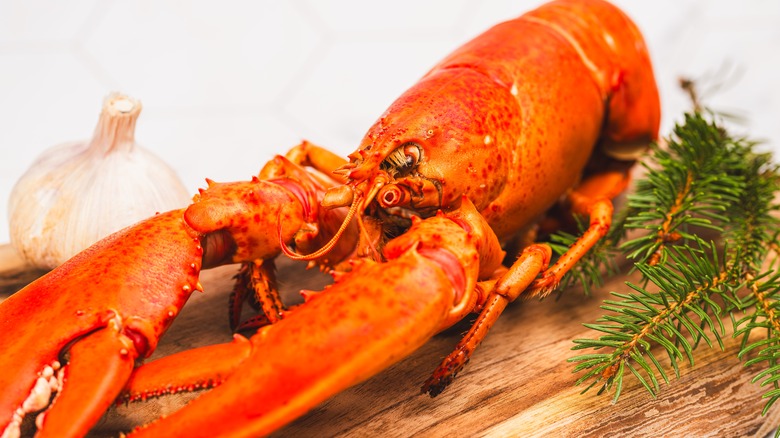 Cooked lobster on wooden board